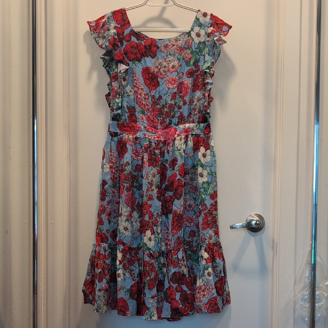 Nwt Brooks Brothers S.4 Floral Dress - Red And Blue